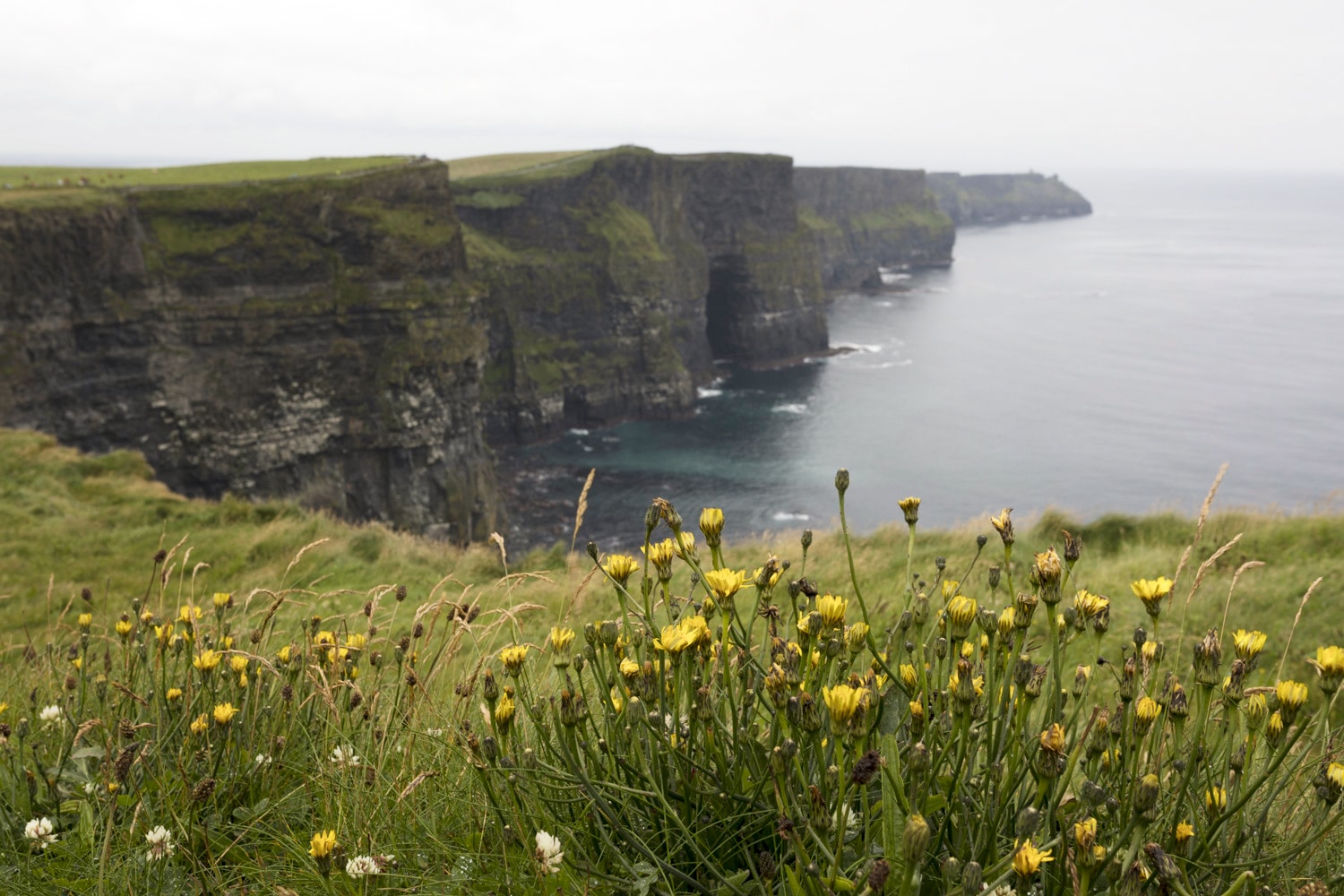 The Cliffs of Moher